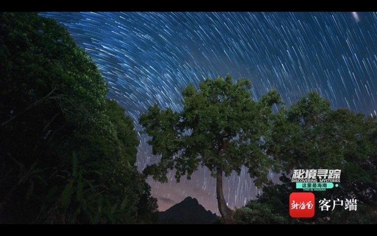 一县一品公益助农！游火石寨吃九碗十三花宁夏西吉特色农产品西芹